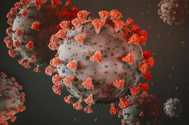 바이러스로 바이러스 치료?…코로나19 바이러스 증식 막는법 나왔다