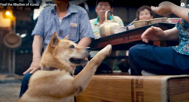 ‘Feel the Rhythm of Korea’ 시즌2 순천편 영상에는 진도개도 사람잔치 상 음식 좀 달라고 조르는 장면도 있다.