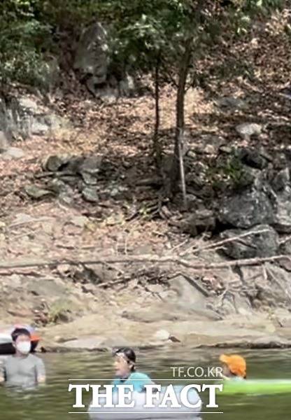 불영계곡에서 당시 두 아이가 물에빠지기 전 물놀이를 하던 모습./두 아이의 어머니가 올린 당시 사진