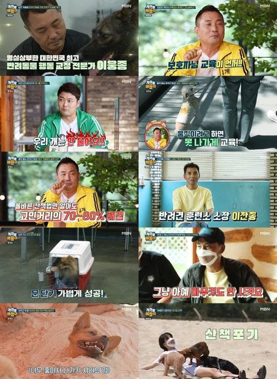 '개미랑 노는 베짱이'