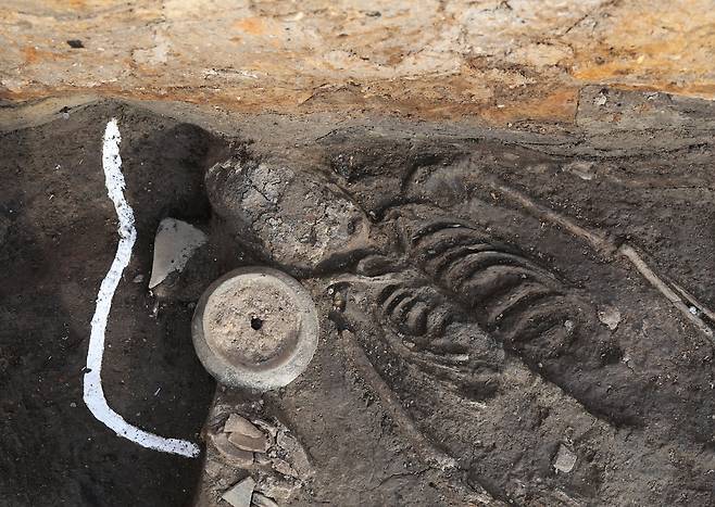 경주 월성에서 나온 성인 여성 인골 [국립경주문화재연구소 제공. 재판매 및 DB 금지]