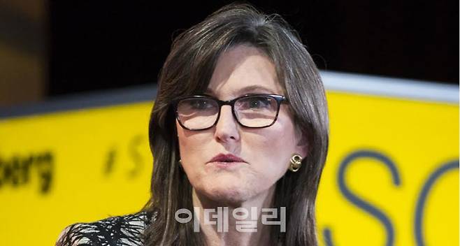 ‘돈나무 언니’로 알려진 아크인베스트먼트(이하 ARK)의 캐시 우드 최고경영자(CEO)가 불장난을 하고 있다는 비판을 받았다.  (사진= CNN 캡처)