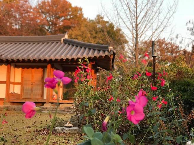 인스타그램 @dal.maru