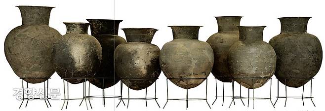 임당 유적의 도드라진 특징 중 하나가 ‘대호(大壺·큰 항아리)’가 월등히 많다는 것이다. 고분의 부곽 또는 주구(무덤 주변을 돌려 판 도랑) 등에서 적게는 2점, 많게는 8~9점 들어 있었다. 대호 안에는 곡물이나 술 등이 담겨있었을 것이다.|영남대박물관 제공