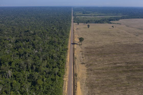 브라질 아마존 지역의 벌목. BR-163 고속도로를 경계로 왼쪽으로는 타파호스 국유림이, 오른쪽으로는 브라질 파라 주 벨테라의 콩밭이 펼쳐져 있다. AP=연합뉴스