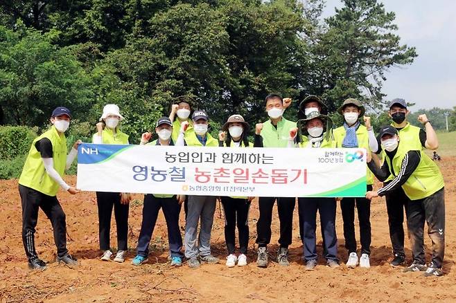 농협중앙회 김현우 IT전략본부장(사진 오른쪽에서 네번째)을 비롯한 임직원들이 경기도 수원 소재 고구마재배 농가를 방문해 추석 성수품으로 출하할 고구마 수확작업에 참여하였다.