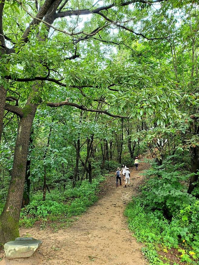 상당산성 산책로