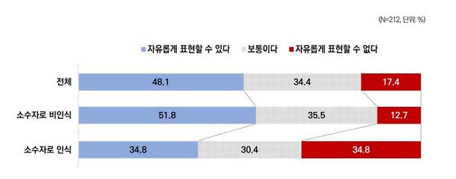 비주류 문화의 표현도. 서울연구원 제공