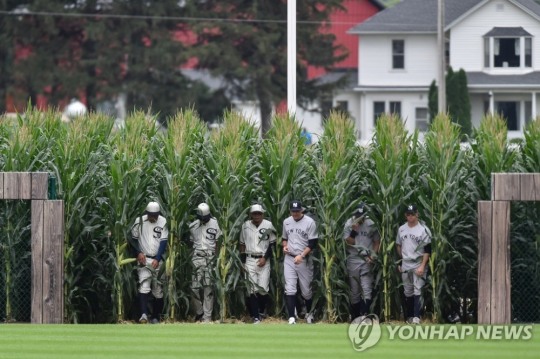 MLB '꿈의 구장'경기에서 선수들이 옥수수밭에서 나오고 있다.