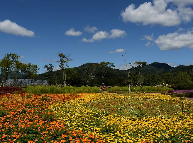 12일은 서해 북부 해상에서 동진하는 고기압의 영향으로 전국이 대체로 맑을 전망이다. 사진은 지난 8일 경남 거창군 남상면 창포원의 모습,/사진=뉴스1
