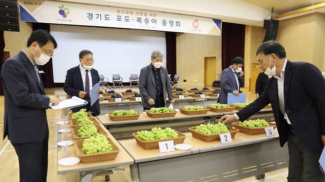 지난 9일 경기도농업기술원 농업과학교육관에서 포도·복숭어 품평회가 열렸다. / 사진제공=경기도