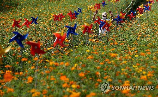 가을의 바람  [연합뉴스 자료사진]