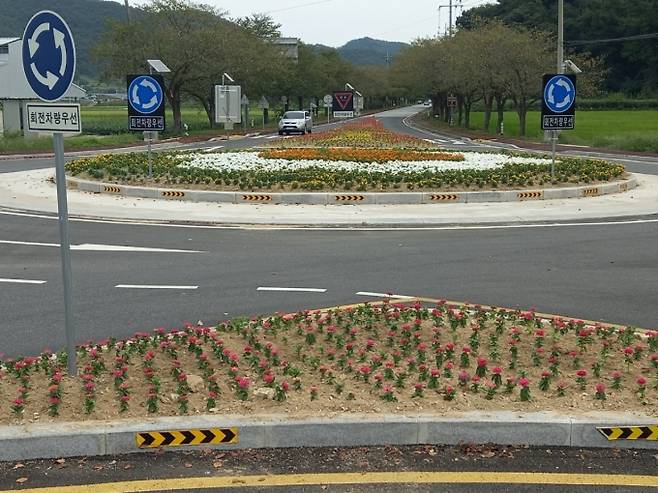 청양 청남면 지곡 회전 교차로 추석 손님 맞이 꽃단장 모습.