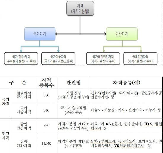 자격의 종류.(자료=국민권익위원회·교육부)