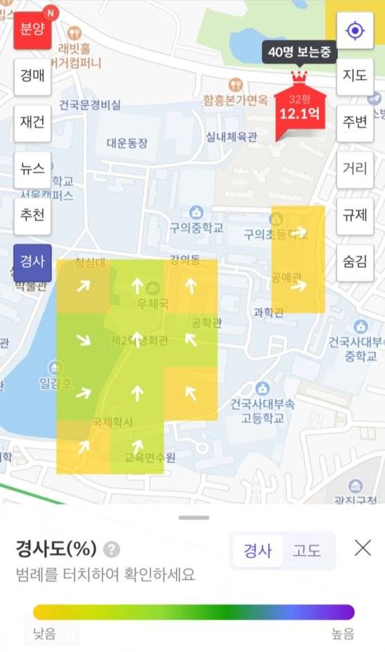 해당 지역의 지형에 대한 정보를 제공하는 화면. 이 집이 비탈에 있는지, 평지에 있는지 등을 파악할 수 있다. [사진 공혜정, 호갱노노 캡처]
