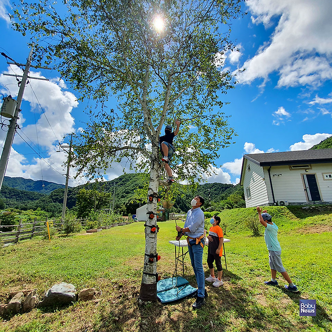 농장 입구에 있는 큰 나무 아래에서 몽키 트리 클라이밍(Monkey tree climbing) 수업이 진행되고 있다. 최대성 기자 ⓒ베이비뉴스