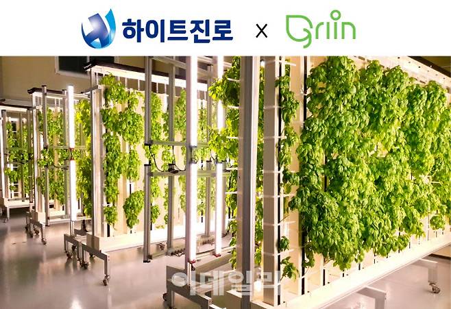 그린이 운영하는 김포 도시 농장(사진=하이트진로)