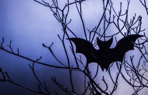 [사진=게티이미지뱅크]