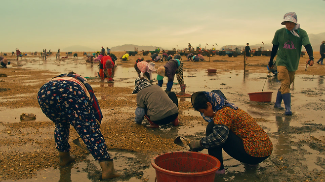 한국관광공사 서산 홍보영상 '머드맥스'