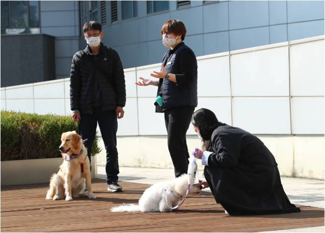 반려동물 행동교정 모습. 성동구 제공.