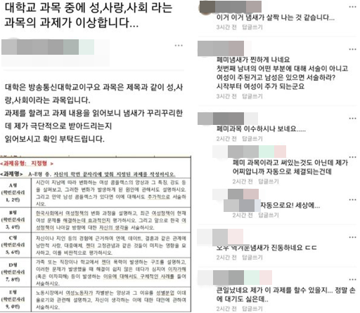 온라인 커뮤니티 캡처