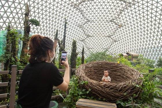 거제정글돔에는 곳곳에 포토존이 조성돼 있다. 새 둥지 포토존이 특히 인기다.