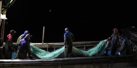 불법조업에 나서는 중국어선의 규모에 비해 해양경찰청 등의 단속은 턱없이 부족한 실정이다. 특히 지난해엔 코로나19로 어선 나포가 불가능해지며 단속 실효성이 한층 떨어졌다. 사진은 연평도 당섬 선착장에서 꽃게잡이 출어준비를 하는 모습. [연합뉴스]