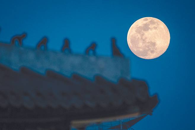 지난 8일 저녁 서울 숭례문 어처구니에 올해 뜨는 가장 큰 달(슈퍼문)이 걸려 있다. 뉴스1