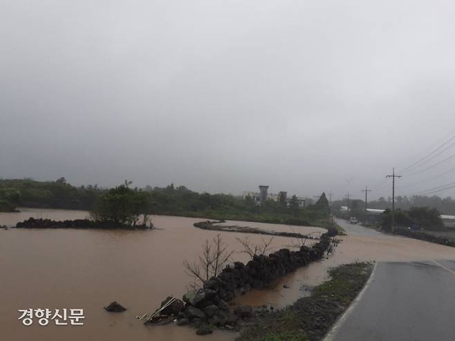 태풍 찬투가 몰고온 폭우로 제주시 구좌읍의 밭이 물에 잠겼다. 제주도소방안전본부 제공