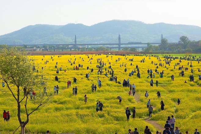 대구시가 오는 30일까지 금호강 ‘하중도’ 명칭을 공모한다. (대구시 제공) 2021.09.17