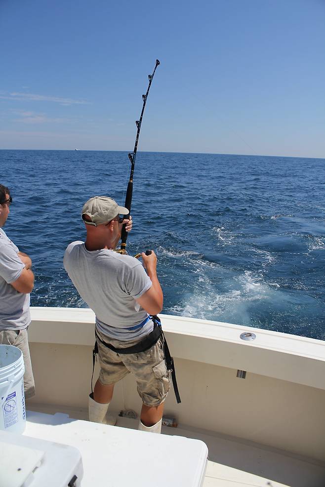 사진 = visualhunt.com