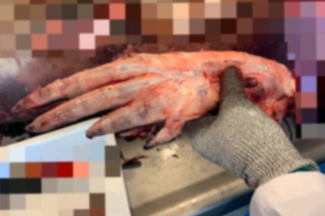 [마크 D 쉐어츠 박사 트위터 캡처]