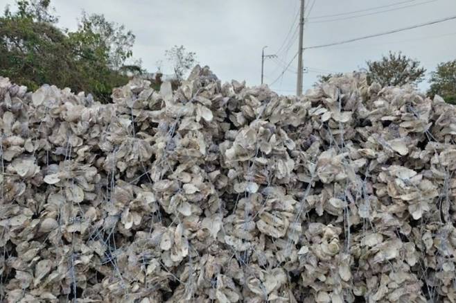 전남 지역 한 어촌에 쌓인 패각 - 뉴스1
