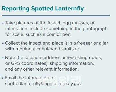 뉴욕 농부무는 꽃매미가 포도농가에 끼칠 영향을 우려해 강력 지침을 내렸다. (사진= 뉴욕 농무부 홈페이지)
