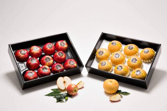 게티이미지뱅크