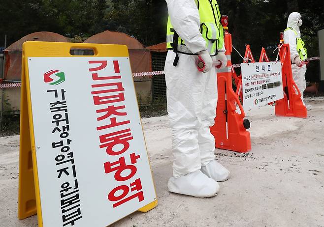 26일 아프리카돼지열병(ASF)이 발생한 강원 홍천군 내촌면의 양돈농가 입구에 방역 관계자들이 출입을 제한하고 있다. [연합]