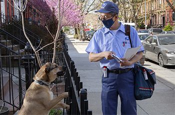 뉴욕 브루클린에서 집배원이 담장을 사이에 두고 개와 서로 마주보고 있다. 미 최대도시 뉴욕은 이번 개공격 사례 조사에서 상위 25개 도시에 포함되지 않았다. /USPS 홈페이지