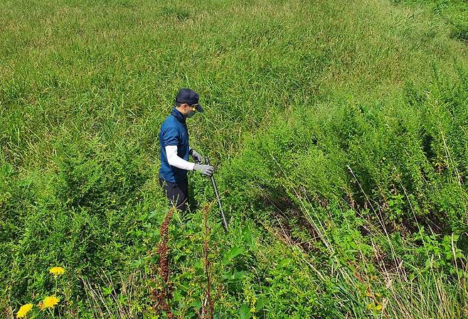 지난달 30일 전남 영암 일대에서 경찰관이 실종된 30대 여성의 시신을 수색하고 있다. 경찰은 무안의 한 숙박업소에서 이 여성을 살해하고 유기한 혐의로 지난달 24일 A씨를 긴급 체포했다./연합뉴스