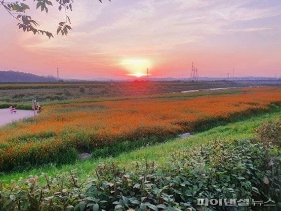 자유로 따라 황금노을 물드는 파주 문산노을길. 사진제공=파주시