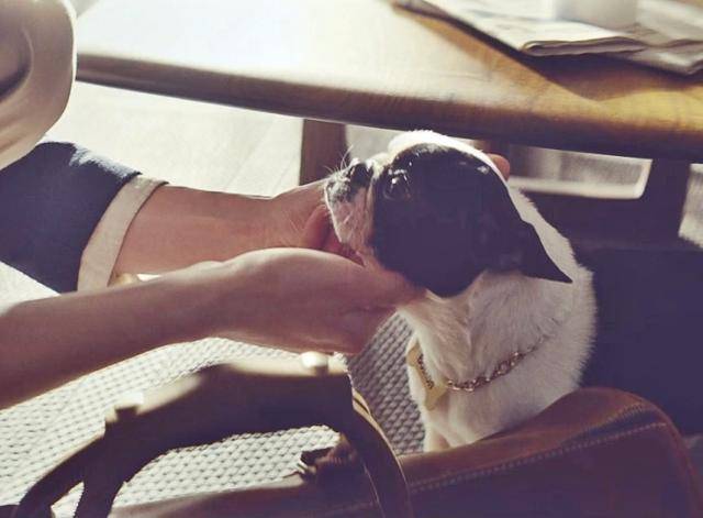 대한항공 공식 사회관계망서비스(SNS) 캡처