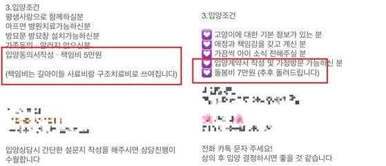 유기동물을 구조한 뒤 임시 보호하다 입양을 보내는 사례가 늘어나고 있다. 이 과정에서 5~10만원 수준의 '책임비'가 오간다. 과도한 책임비는 동물보호법 위반일 수 있다는 게 전문가들의 시각이다. 사진은 유기동물 보호·입양 플랫폼 포인핸드에 등록된 입양 홍보용 문구. [포인핸드 캡처]