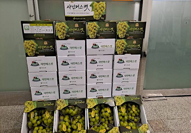 [광주=뉴시스] 변재훈 기자 = 광주 광산구는 '이름 없는 기부천사'가 첨단 1동 행정복지센터에 샤인머스켓 2㎏ 40상자(100만 원 상당)와 여성용 속옷 50상자(120만 원 상당)를 전달했다고 19일 밝혔다. (사진=광주 광산구 제공) 2021.09.19. photo@newsis.com *재판매 및 DB 금지