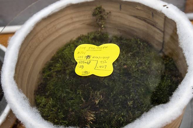 개체수 확인을 위해 부화되는 알을 카운팅해 기록한다. 장진영 기자