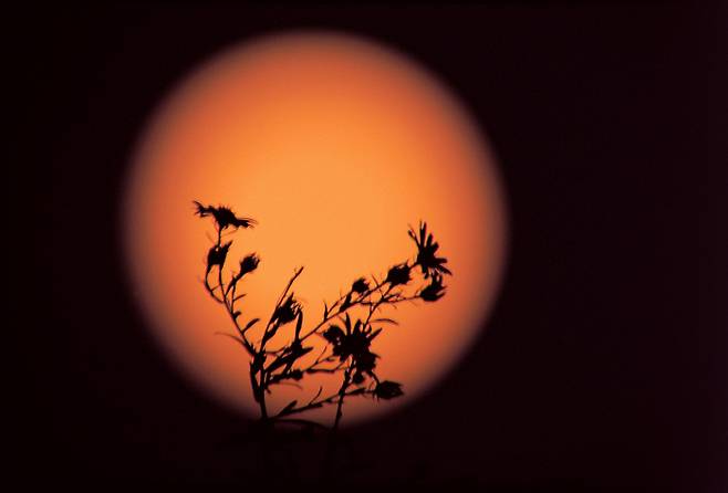 [사진 = 매경 DB]