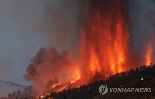 19일(현지시간) 스페인령 카나리아제도 라팔마섬 쿰브레 비에하 화산에서 용암이 분출하고 있다. [AFP=연합뉴스]