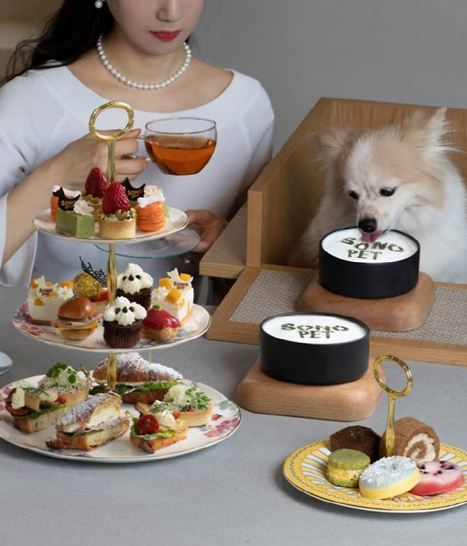 소노펫클럽앤리조트 고양 (제공=대명소노그룹)