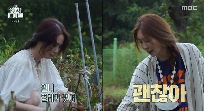 iMBC 연예뉴스 사진