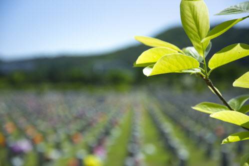 (사진=이미지투데이)