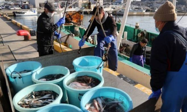 일본 후쿠시마(福島)현 이와키시 소재 오나하마(小名浜)항에서 현지 수산업 종사자가 후쿠시마 앞바다에서 잡힌 생선을 지게차에 싣고 있다. 후쿠시마/연합뉴스 제공