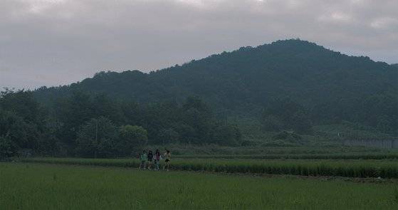 서한솔 감독은 이번 영화의 풍경을 구상하며 “너무 멋있어서 사진으로 담고 싶다 같은 게 없는, 오히려 너무 사소해서 지나치기 쉬운 일상들을 담고자 했다”고 설명했다. [사진 필름다빈]